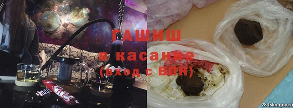 прущие грибы Верея