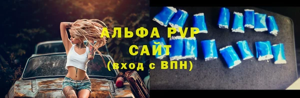 a pvp Бородино