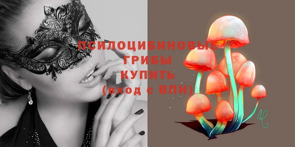 мдпв Бронницы
