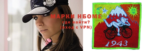 прущие грибы Верея