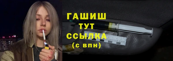 a pvp Бородино