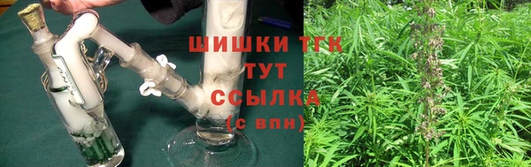 сатива Бугульма