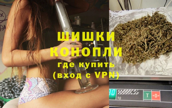 мдпв Бронницы