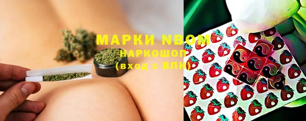 дмт Богородицк