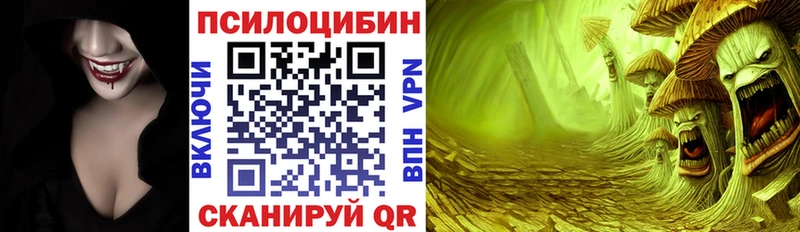 Псилоцибиновые грибы MAGIC MUSHROOMS  OMG маркетплейс  Гурьевск 