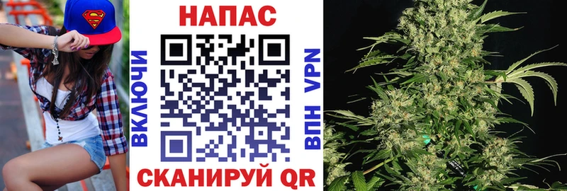 закладка  Гурьевск  Каннабис тримм 